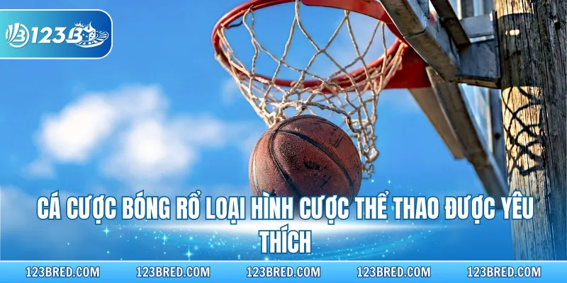 Cá cược bóng rổ loại hình cược thể thao được yêu thích