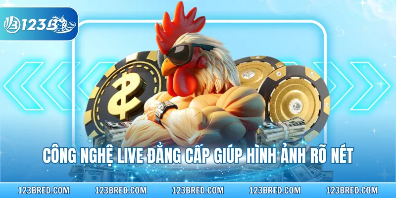 Công nghệ live đẳng cấp giúp hình ảnh rõ nét