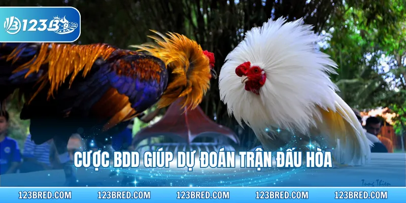 Cược BDD giúp dự đoán trận đấu hòa