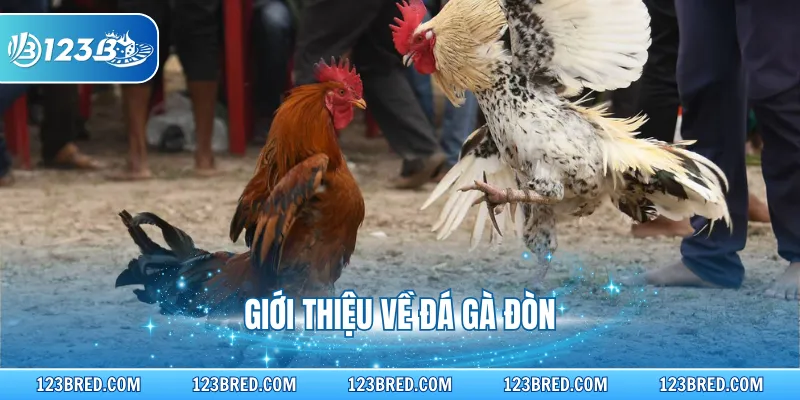 Giới thiệu về đá gà đòn