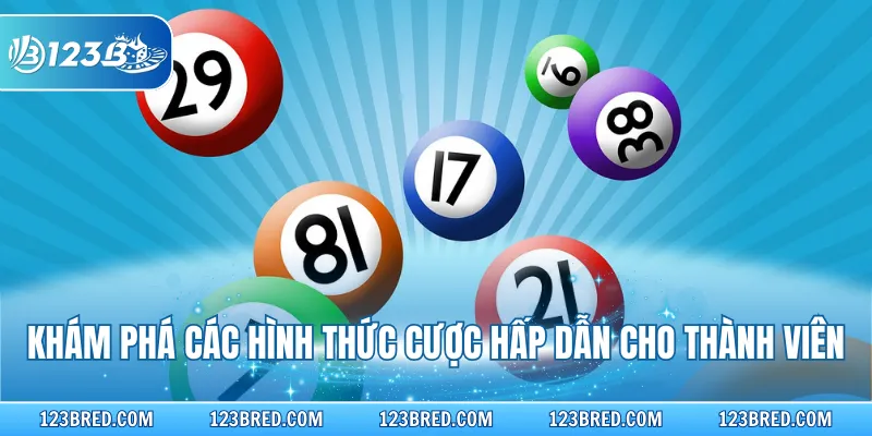 Khám phá các hình thức cược hấp dẫn cho thành viên