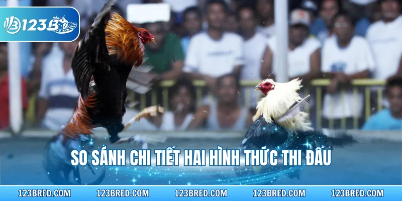 So sánh chi tiết hai hình thức thi đấu