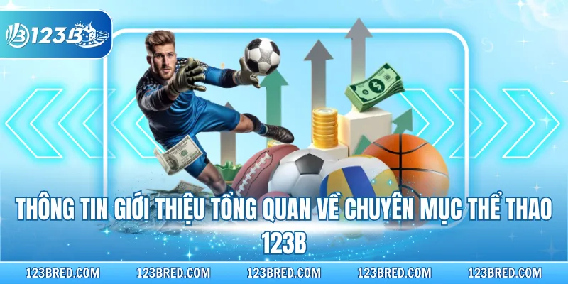 Thông tin giới thiệu tổng quan về chuyên mục thể thao 123B