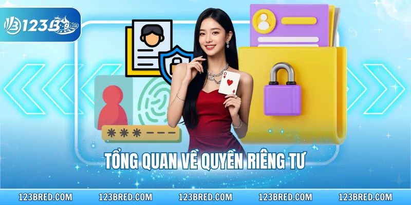 Tổng quan về quyền riêng tư